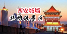 欧美熟女扣逼逼中国陕西-西安城墙旅游风景区